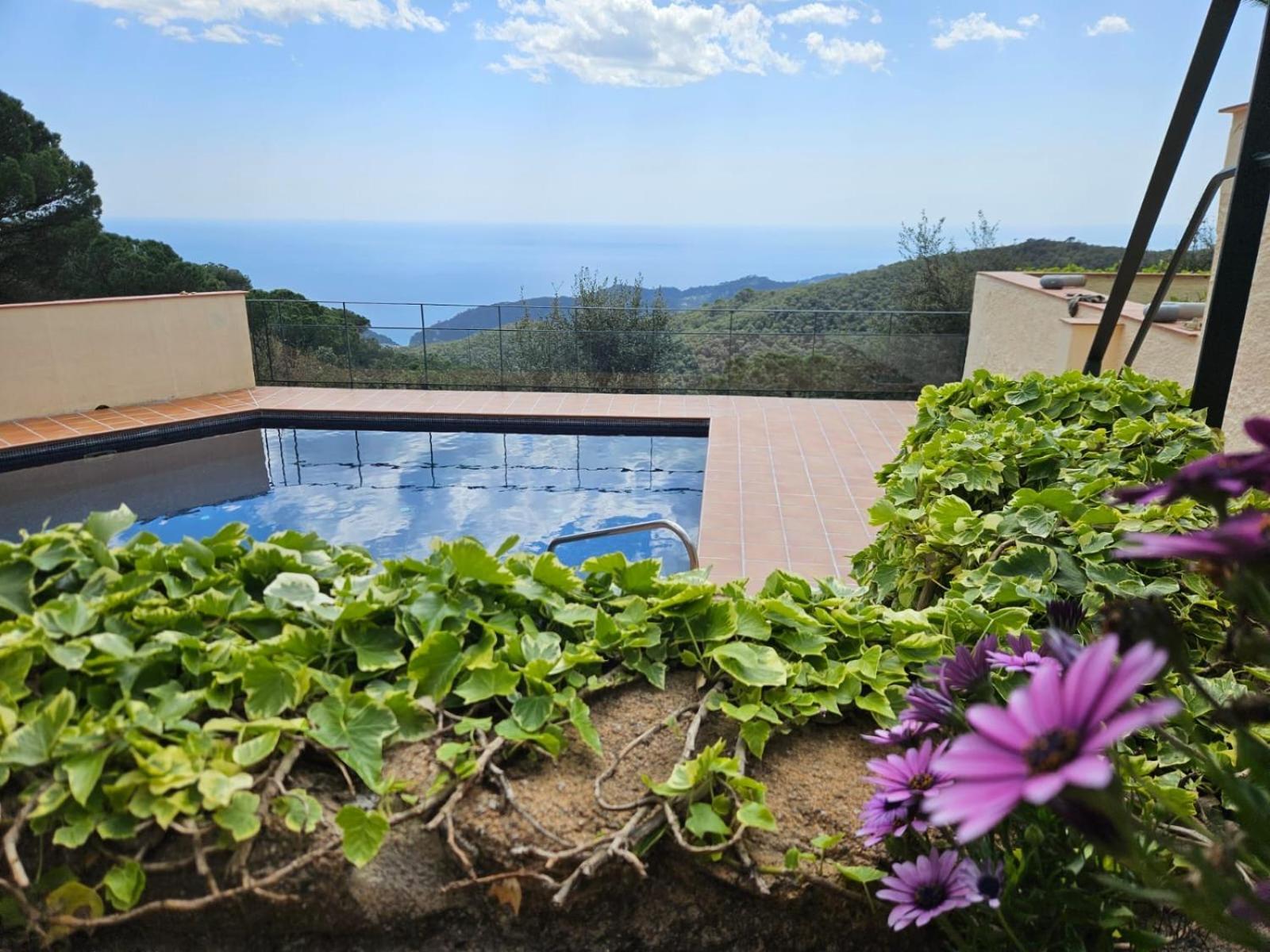 La Roqueta Hotel Tossa de Mar Luaran gambar
